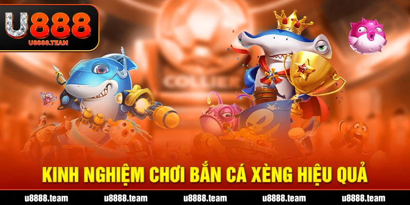 Kinh nghiệm chơi bắn cá Xèng hiệu quả